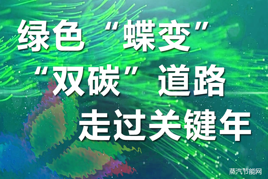 绿色“蝶变” “双碳”道路走过关键年
