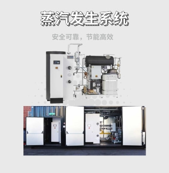 蒸汽发生系统