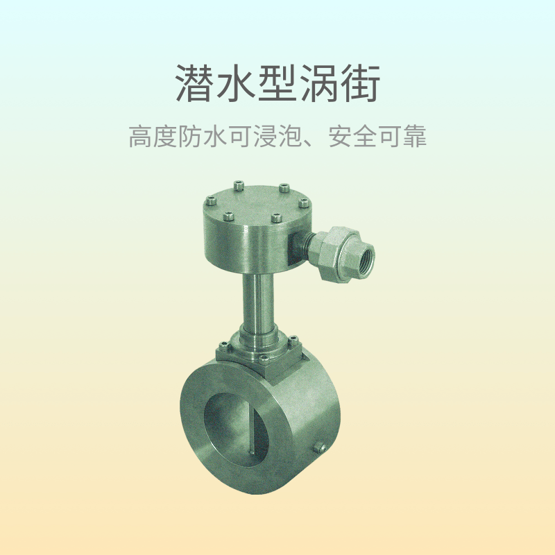 潜水型涡街流量计